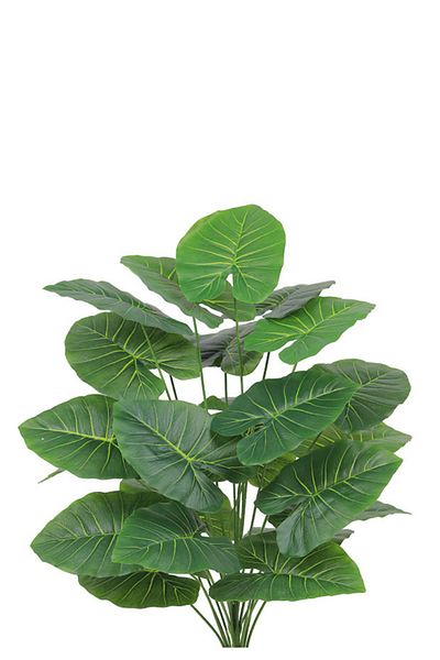 Generic Artificial Heart Leaf Seedling (Alocasia 24 Branches) in a Round Plastic Pot