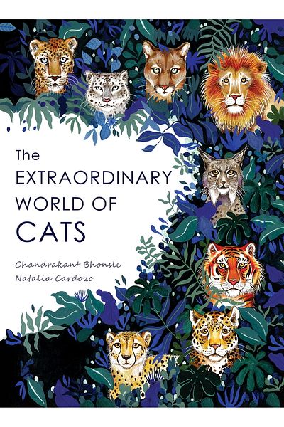 Yeni İnsan Yayınevi The Extraordinary World of Cats
