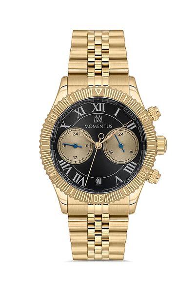 Momentus Sm389G-04Sg Steel Men's Watch