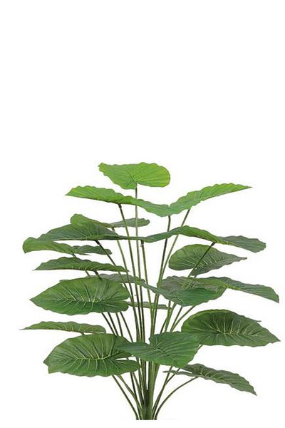 Generic Artificial Alocasia Heart Leaf Seedling in Round Plastic Pot