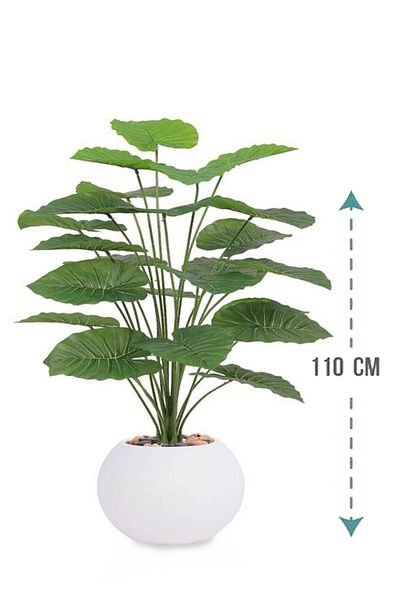 Generic Artificial Alocasia Heart Leaf Seedling in Round Plastic Pot