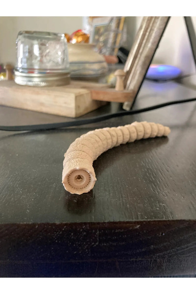 Lineex Dune Hareketli Solucan | Dune Sandworm (20CM BÜYÜK BOY)