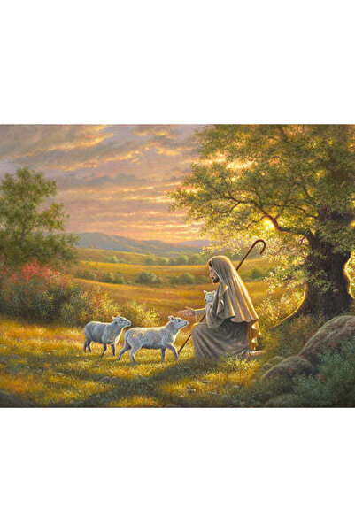 HOBBYLAB Otlak Çerçeveli 40x50 Sayılarla Boyama Hobi Seti