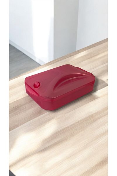 SEHPAHOME Plastic Purse Seine Non-Electric Carpet and Rug Floor Cleaner