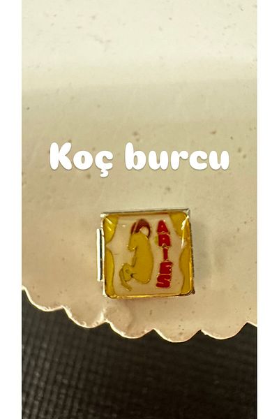 Mutenaura Stainless Steel Nomination Charm Horoscopes