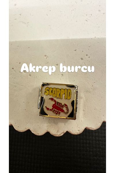 Mutenaura Stainless Steel Nomination Charm Horoscopes