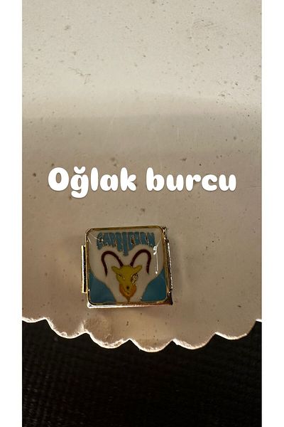 Mutenaura Stainless Steel Nomination Charm Horoscopes