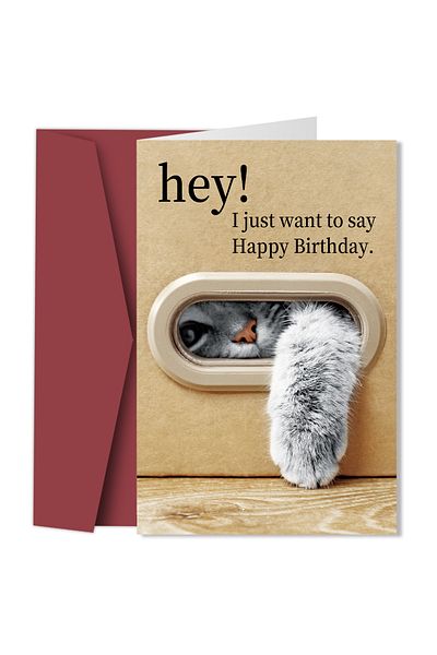 Choice 20.8x13.7cm card with Envelope 1pc Cute Cat Birthday Card, Playful Kitty Paw Design,Happy Birthday C