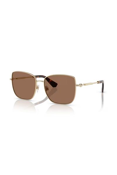 BURBERRY Light Gold Sunglasses 3158