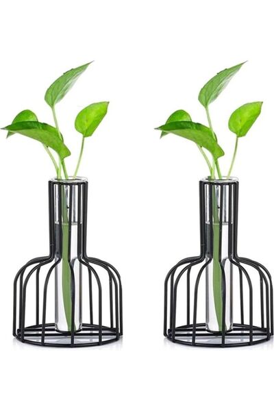 Generic Set Of 2 Metal Flower Test Tube Vase Multicolour one size cm