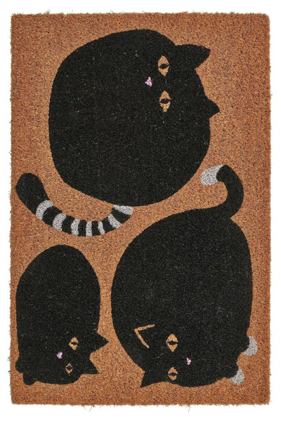 Binbirreyon Door Front Mat Coconut Fiber Easy to Clean 40X60Cm Thick Ke011