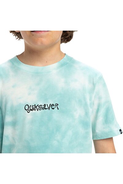 Quiksilver Frog Ritual Youth Boys Blue T-Shirt Boys T-Shirt Eqbzt04840