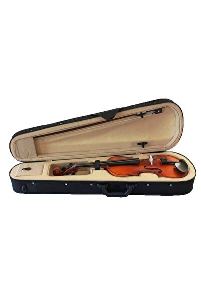 Depox Klasické dřevěné housle 4/4, včetně pouzdra
