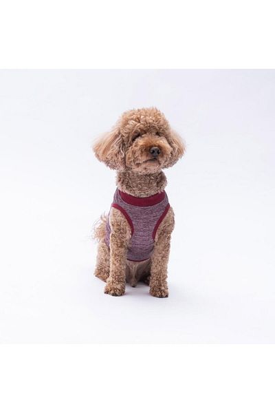Pawstar Claret Red Space Time Cat Dog T-Shirt - Cat Dog Apparel