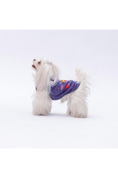Pawstar Purple Space Time Cat Dog T-Shirt - Cat Dog Apparel