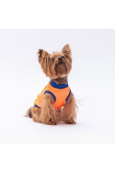 Pawstar Neon Orange Be Kind Cat Dog T-Shirt - Cat Dog Apparel