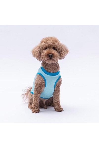 Pawstar Blue the Sun Cat Dog T-Shirt - Cat Dog Apparel