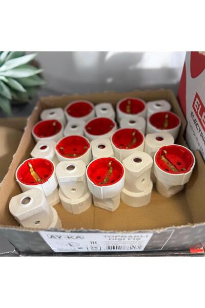 Ayka AY-KA TOPRAKLI DİŞİ FİŞ