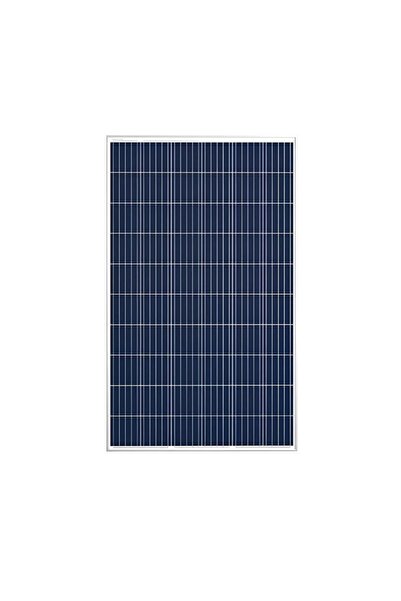 Lexron 295W Polikristal Güneş Paneli