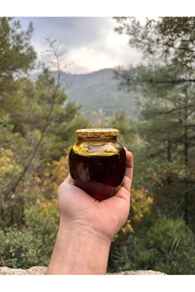 Balkovan Doğal Yayla Çam Balı 450gr. + Arı Poleni 100gr. + Arı Ekmeği 100gr.