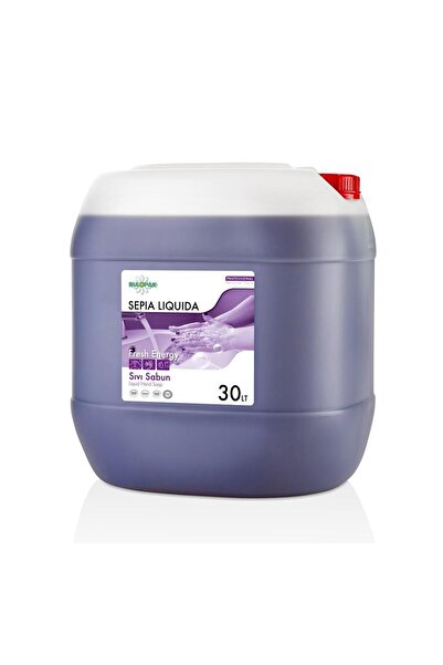 Rulopak Liquid Soap Fresh Energy 30 kg