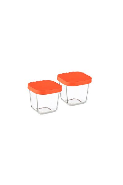 Dania 2-Piece Glass Food Storage Container Set with Microwaveable Plastic Lid