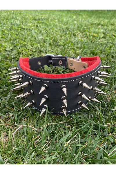Sürmeli Tasma Genuine Leather Dog Collar with Nail Motif 60 cm