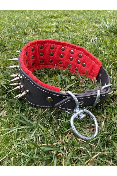 Sürmeli Tasma Genuine Leather Dog Collar with Nail Motif 60 cm