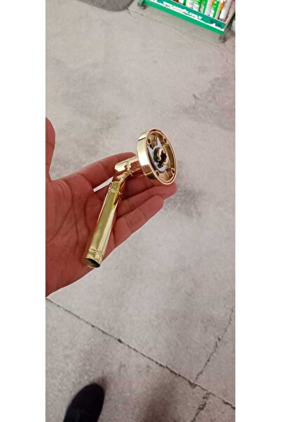 ARAS Çelik Kapı kolu Gold (Sağ Yön)