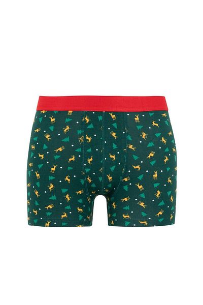 DeFacto Πρωτοχρονιάτικο Boxer - Regular Fit B0552ax23au
