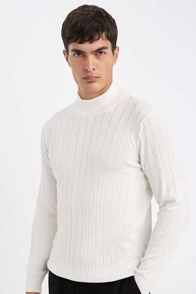 DeFacto Standard-Passform, normaler Schnitt, halber Rollkragenpullover, Jacquard-Strickpullover D2943ax24au