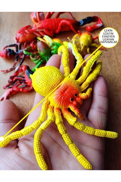OYUNCAKSAHİLİ Sürüngen Karınca Örümcek Akrep Böcek Şaka Korku Hayvanları Çeki...