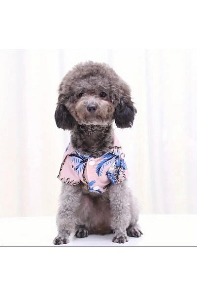 dukart Pet Small Breed Dog Shirt, Cat Shirt