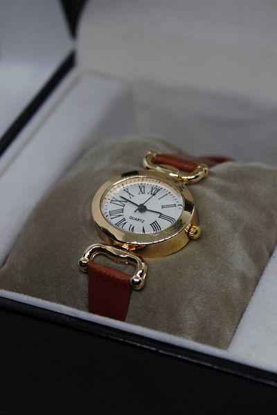 Ricardo Brand Roman Numeral Oval Case Minimal Snakeskin Wristwatch