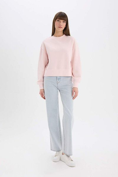 DeFacto Boxy Fit Rundhalsausschnitt Basic Plain Dickes Sweatshirt E4732AX25SP