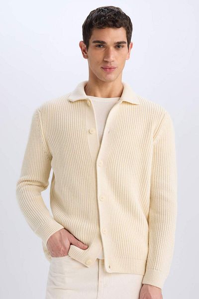 DeFacto Standard-Fit-Strickjacke mit Polokragen und Knöpfen E8397AX24CW