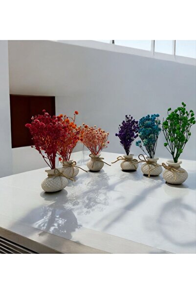 Gift Decorative 6-Piece Set Mini Chubby Potted Dry Flower Chips