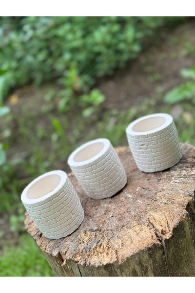 PLASTX Tasarım Mini Saksılık Kaktüs Ve Sukulentlik 3'lü Set