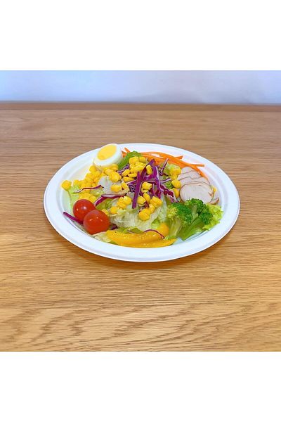 COOYA 50 PCS Disposable Plates, Nature Compostable Dinner Plates, Hot or Cold Use, Microwavable(9 Inch)