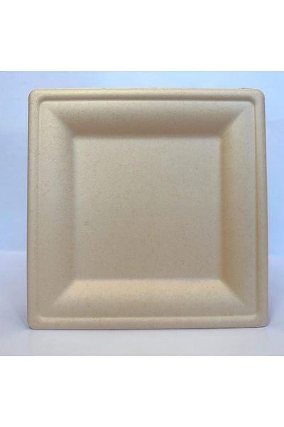 COOYA 50 Pcs Disposable Paper Plates, Microwavable and Eco-friendly, Sturdy, Hot or Cold Use, 8 Inch