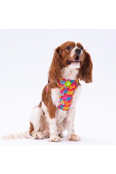 Pawstar Monsters Air-mesh Chest Collar Cat Dog Chest Collar