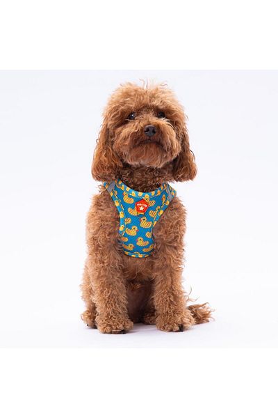 Pawstar Ducks Air-mesh Chest Collar Cat Dog Chest Collar