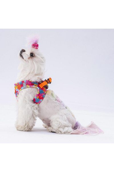 Pawstar Monsters Air-mesh Chest Collar Cat Dog Chest Collar