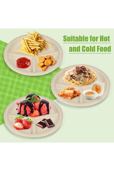 COOYA Disposable Plates, 30 Pack 9 inch 3 Compartment, Heavy Duty Biodegradable for Party Picnic