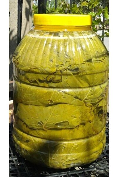 Genel Markalar Doğal Salamura Yaprak 5 Kg