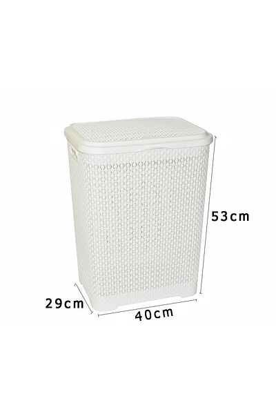 Generic Large plastic laundry basket with lid and handles