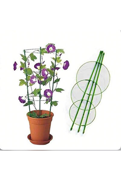 BGA Bitki çiçek fidan destek çubuğu 75cm 3’lü Halkalı bitki tırmanma çubuğu