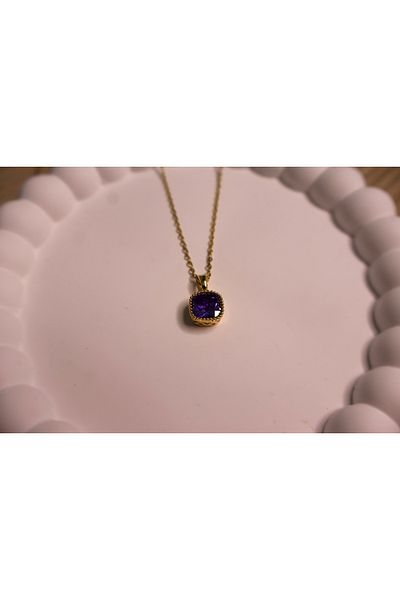 Mia Steel Necklace with Purple Stone Detail