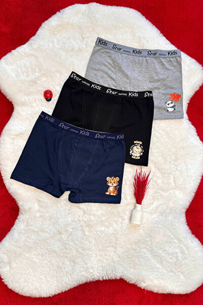starsolmaz Erkek Çocuk 3lü Pamuklu Aslan Baskılı Likralı Boxer Külot