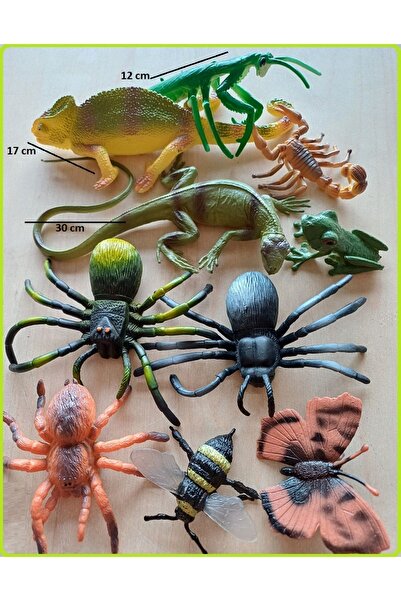 OYUNCAKSAHİLİ Sürüngen Hayvanlar Kertenkele Bukalemun Peygamber Devesi Mantis Örümcek Tarantula 10lu